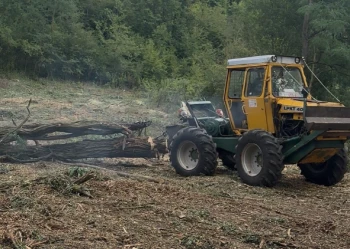 Fa kitermelés (Forwarder és LKT – csörlős vonszolás) - Andráska Fivérek