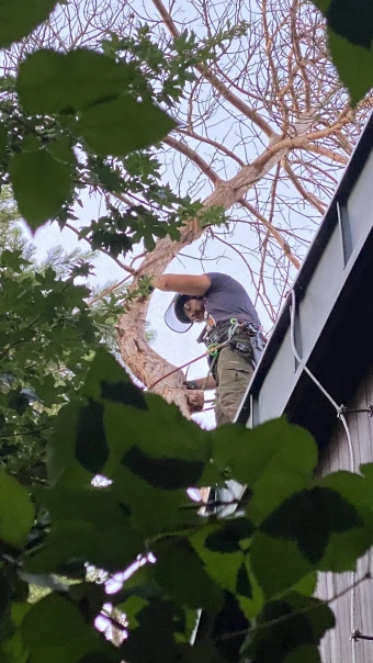 4. galéria kép Andráska Fivérek