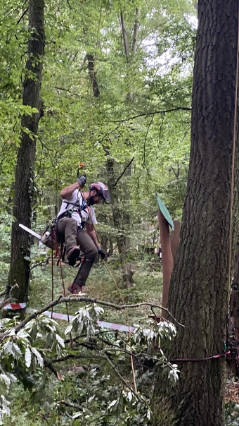 2. galéria kép Andráska Fivérek